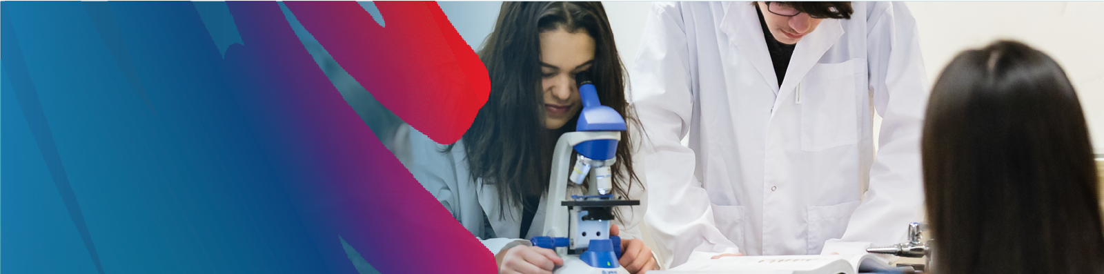 hero-image-with-blue-background-lakehead-public-schools-rainbow-with-students-looking-into-microscope-in-class