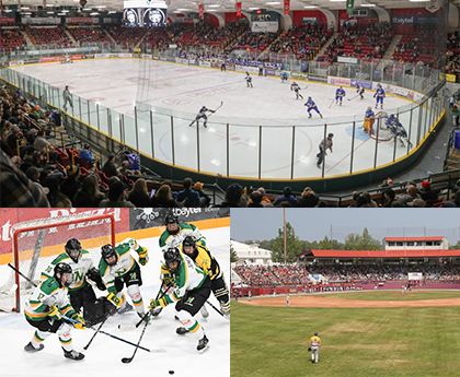 image-on-top-is-lakehead-university-thunderwolves-playing-hockey-second-is-thunder-bay-northstars-third-is-thunder-bay-border-cats